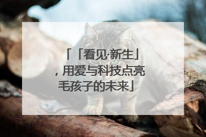「看见·新生」，用爱与科技点亮毛孩子的未来
